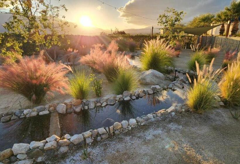 استراحتگاه Azure Palm Hot Springs