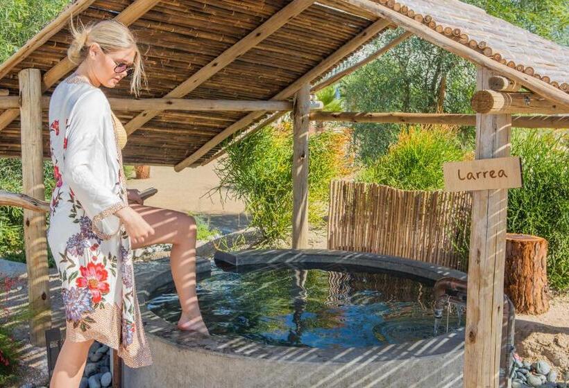 استراحتگاه Azure Palm Hot Springs