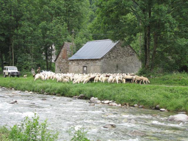 Общежитие Auberge Les Myrtilles