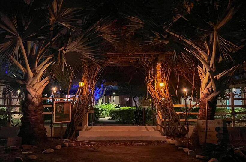 هتل Coccoloba Beach Hostel
