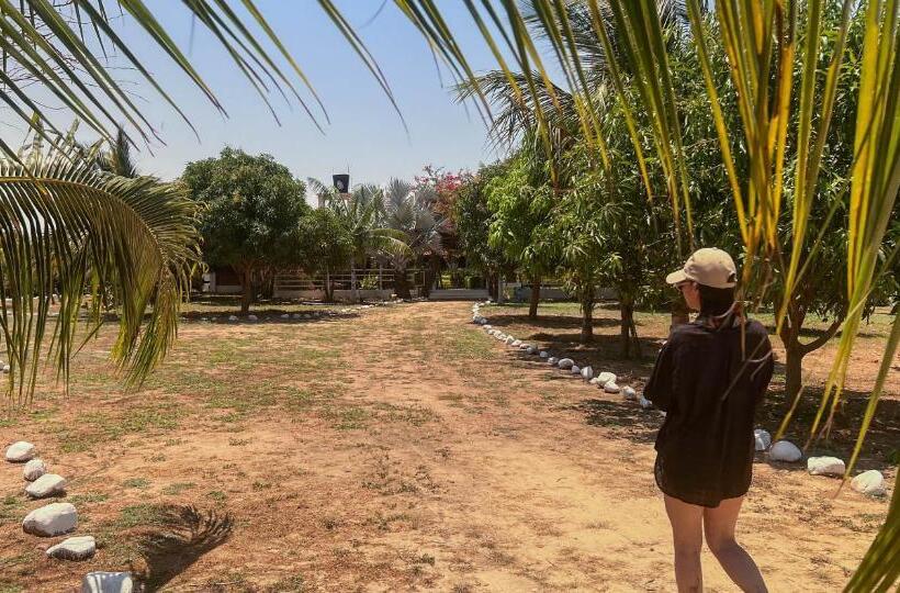 هتل Coccoloba Beach Hostel