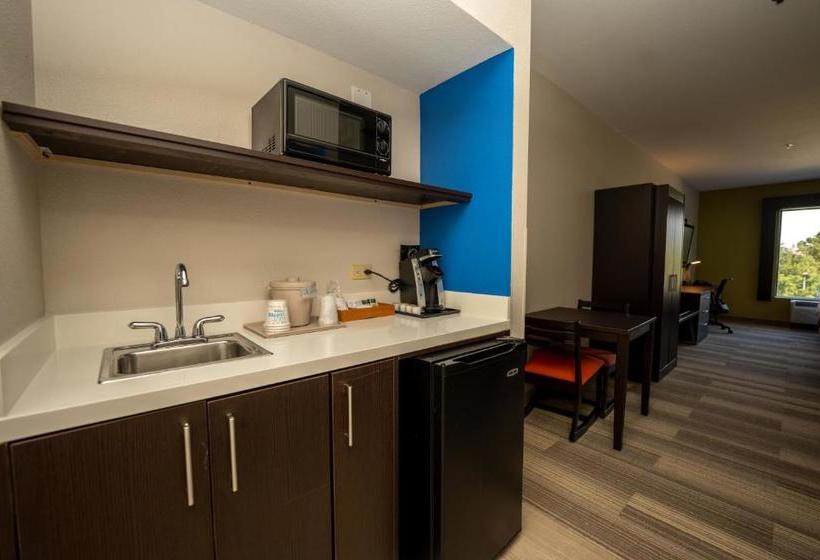 Отель Holiday Inn Express & Suites Deer Park, An Ihg