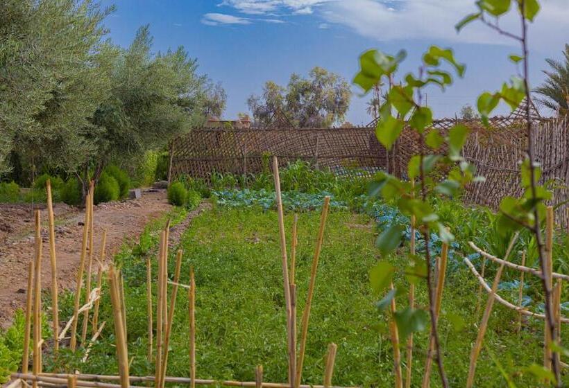 پانسیون Maison D'hôte Amridil