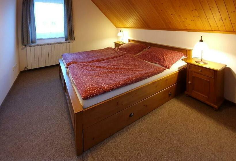 פנסיון Selský Dvůr 2