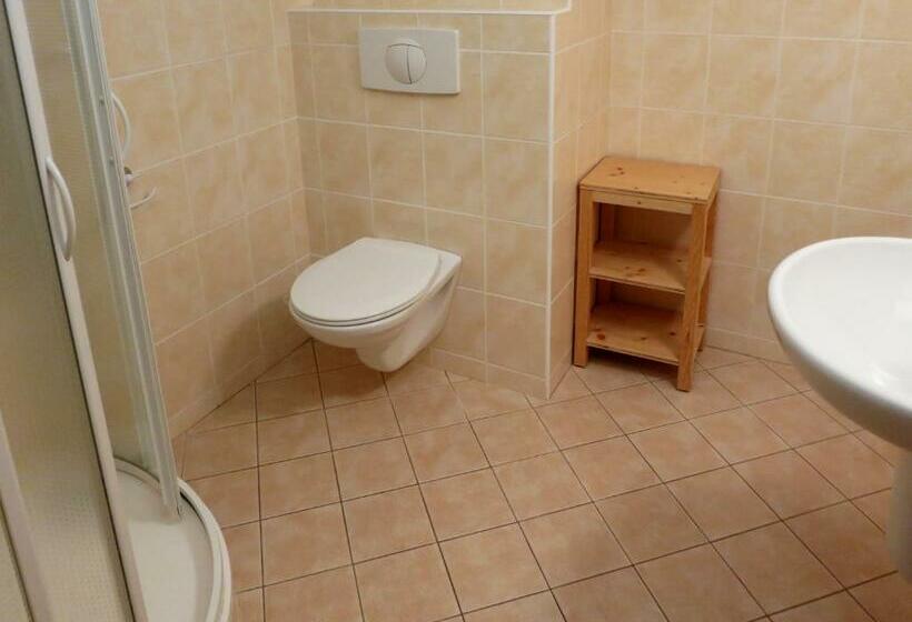 פנסיון Selský Dvůr 2