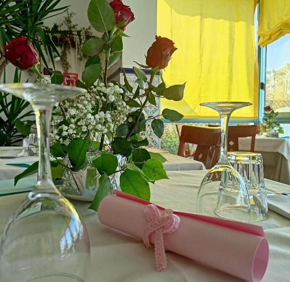 هتل Ascot Riccione