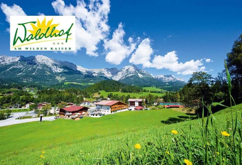 酒店 Der Waldhof