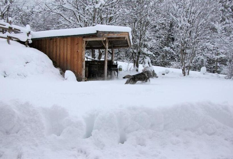 Отель Grubhof Appartements