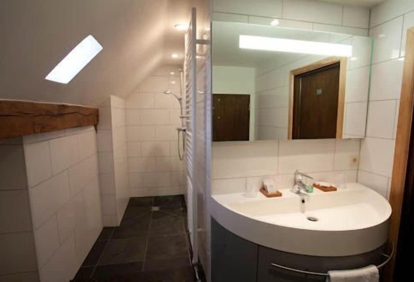 בית מלון כפרי Moulin De Boiron