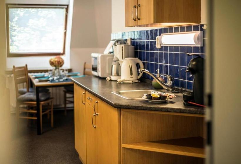 It Centrum Apartments