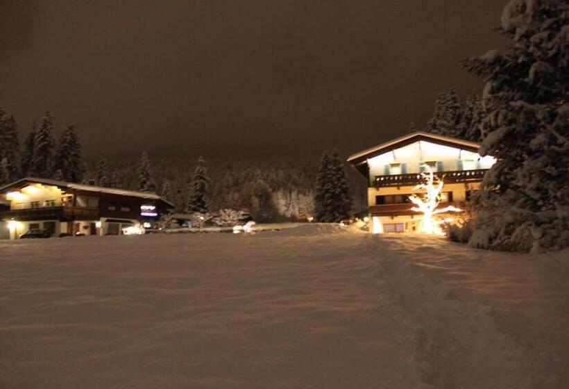 Otto Steiner Appartements Pension Ellmau & Wilder Kaiser