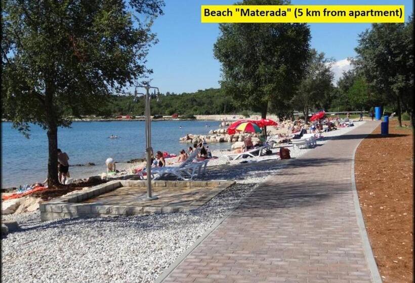 پانسیون Apartments And Rooms With Parking Space Porec   6917