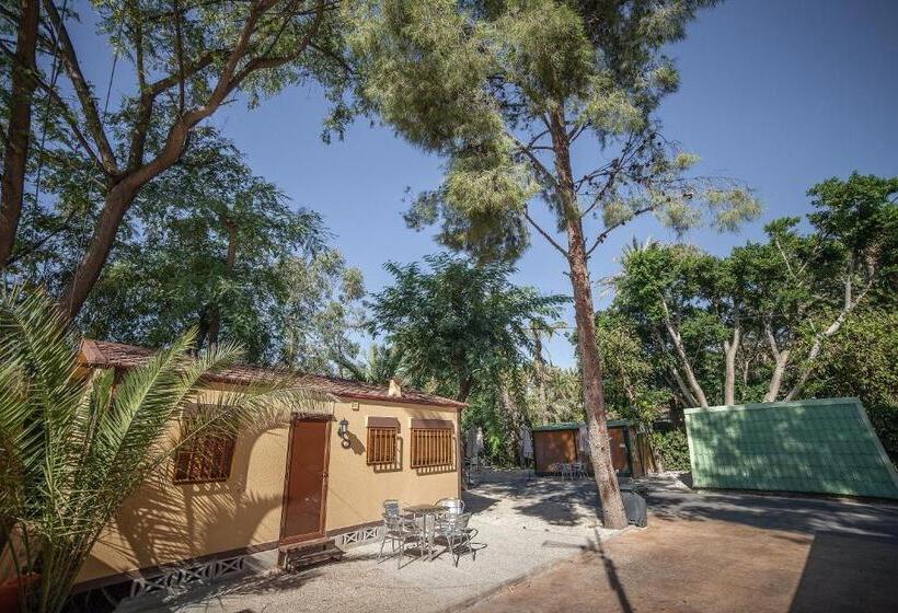 هتل Camping Las Palmeras