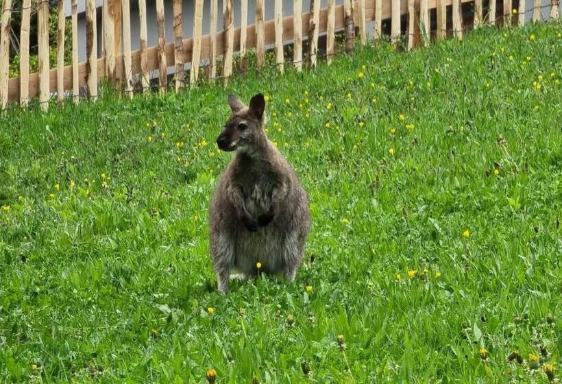 בית מלון כפרי Ferienhof Obergasser Und Bergblick