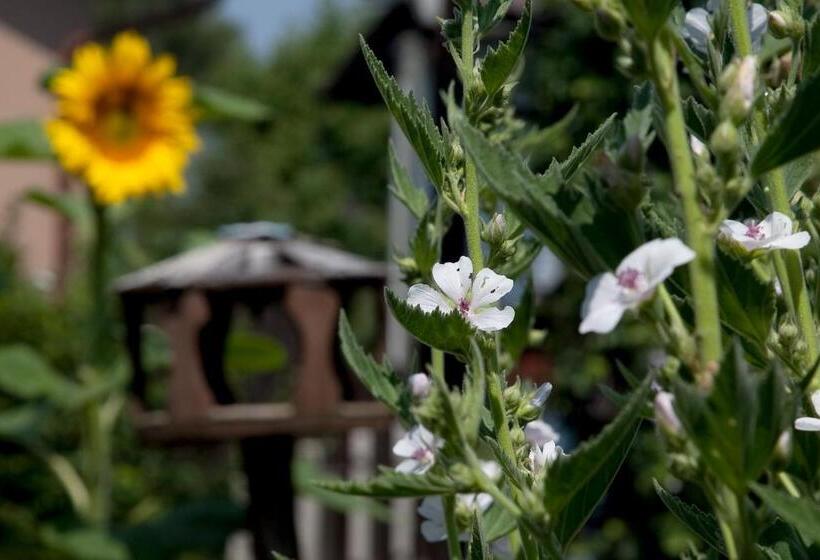 ホテル Gästehäuser Anni Ehrndorfer