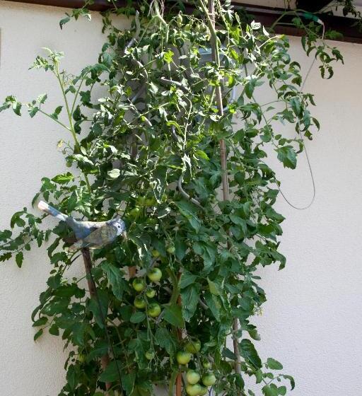 ホテル Gästehäuser Anni Ehrndorfer