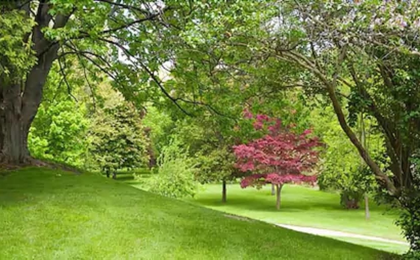 فندق Guest House On The Mount