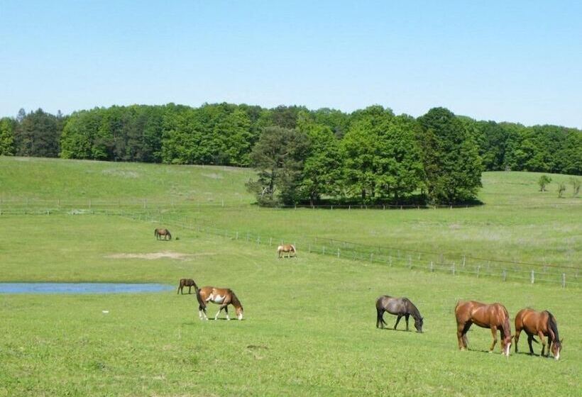 Gut Sarnow   Hotel Und Restaurant