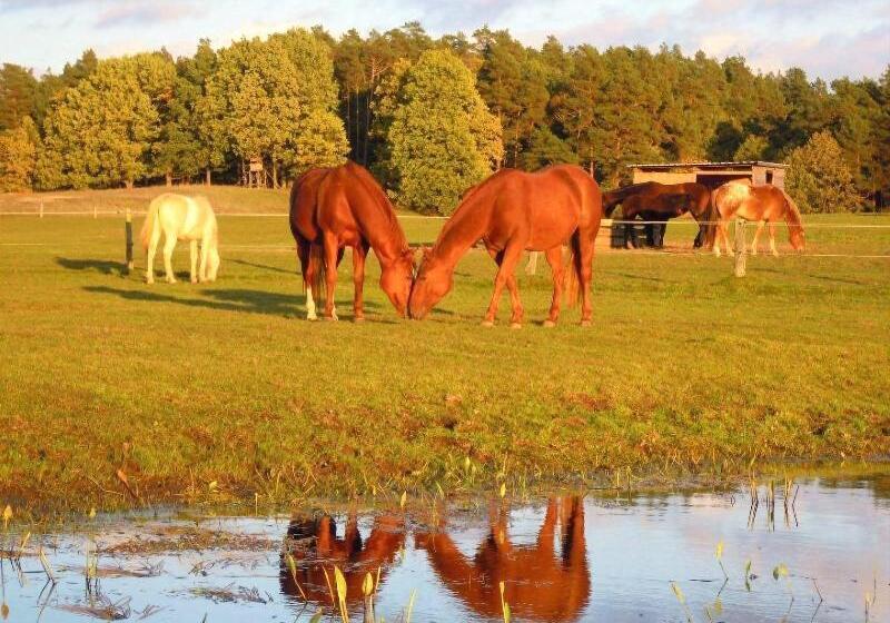 Gut Sarnow   Hotel Und Restaurant
