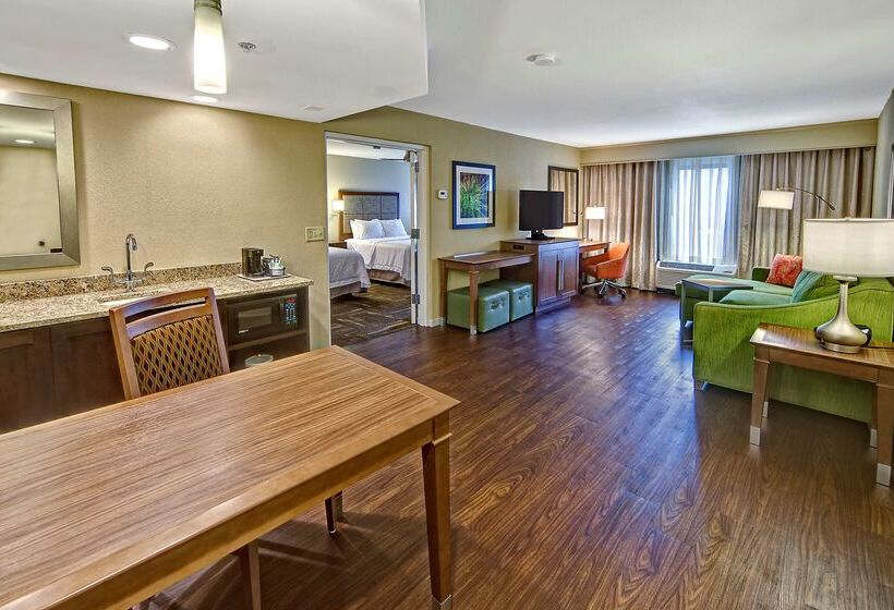 בית מלון כפרי Hampton Inn & Suites Asheville Airport