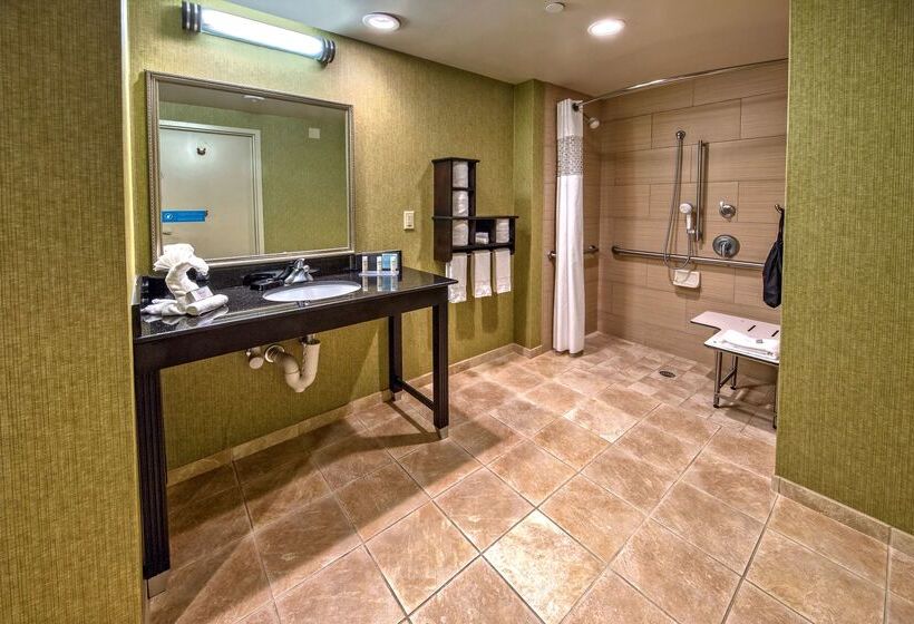 هتل Hampton Inn Ashevilletunnel Rd