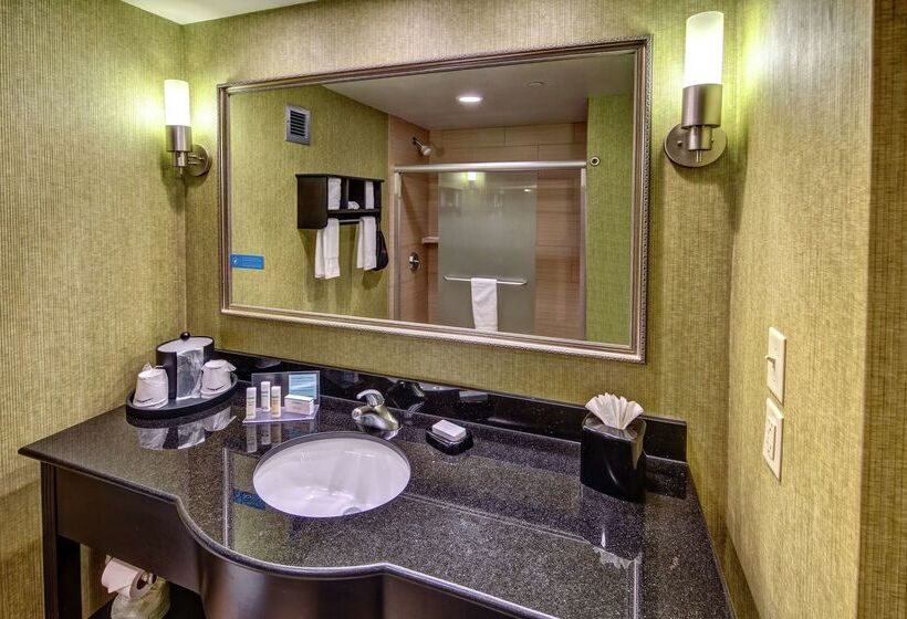 هتل Hampton Inn Ashevilletunnel Rd