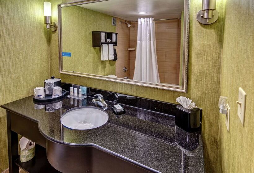 هتل Hampton Inn Ashevilletunnel Rd