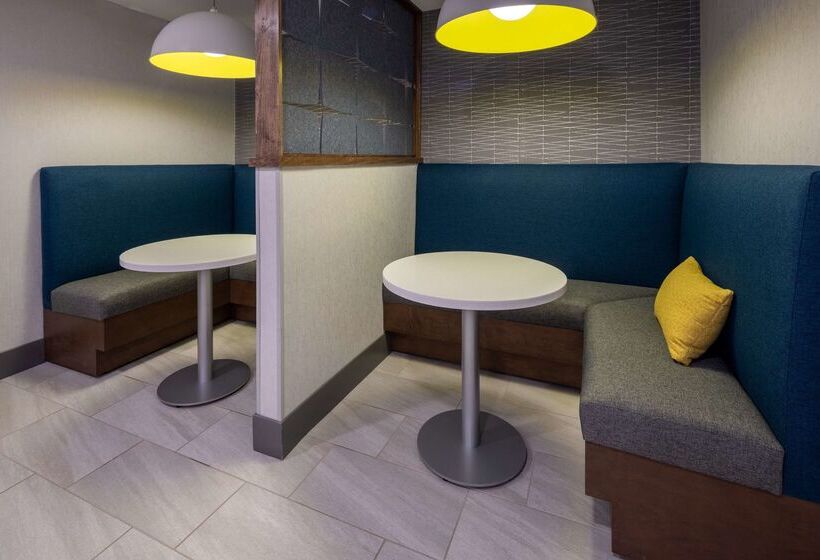 هتل Hampton Inn Ashevilletunnel Rd