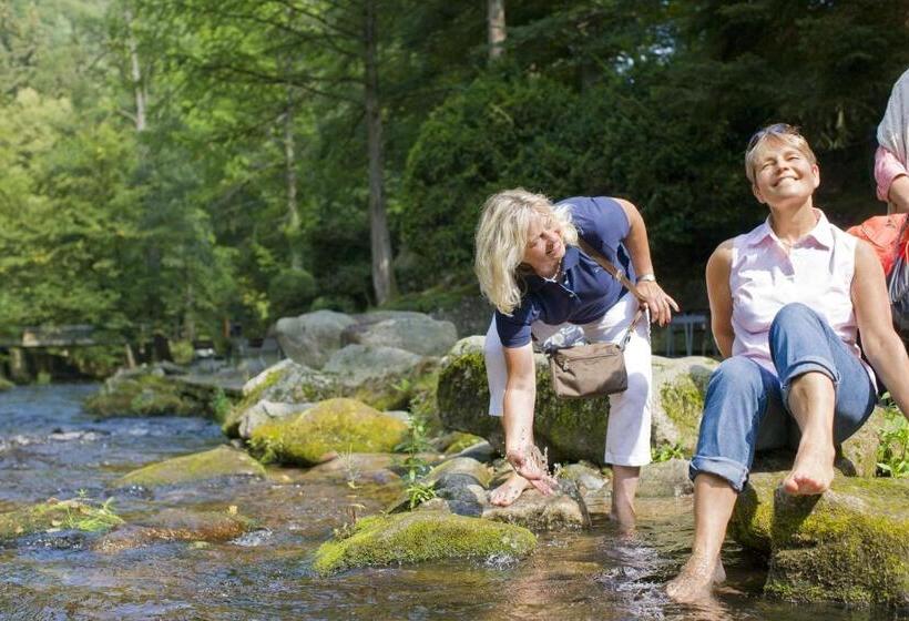 Wellnesshotel Rothfuß Mit Spa Und 2 Schwimmbädern