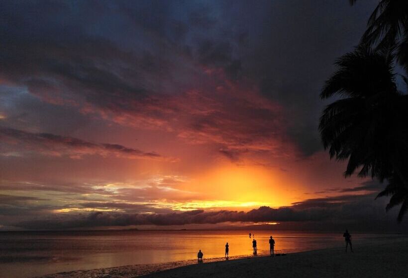 酒店 Jj S Backpackers Village