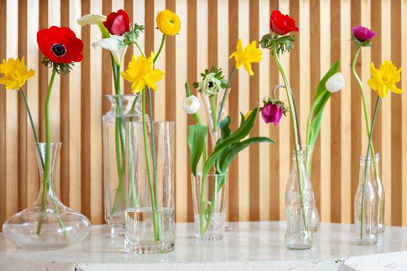 צימר Coclee Suite Palace