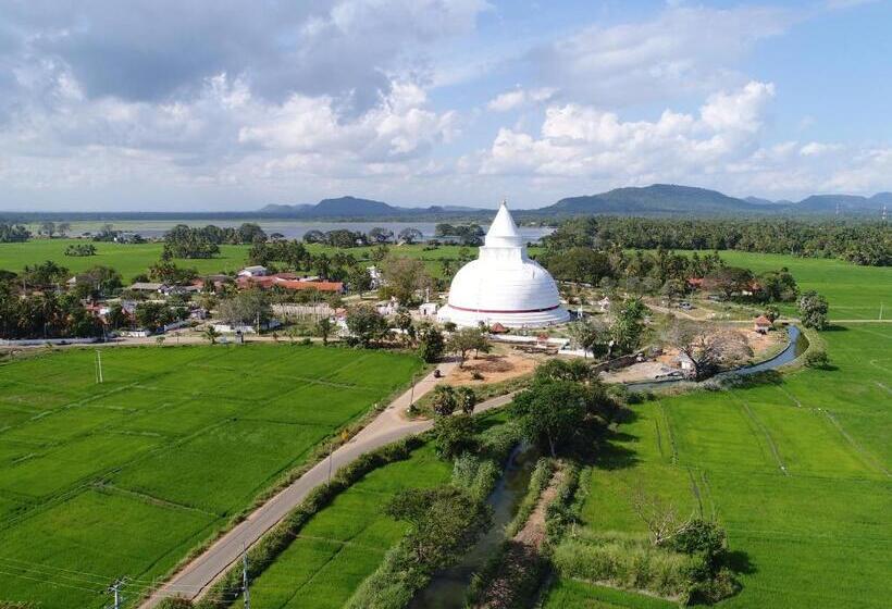 تختخواب و صبحانه Olu Villa Resort