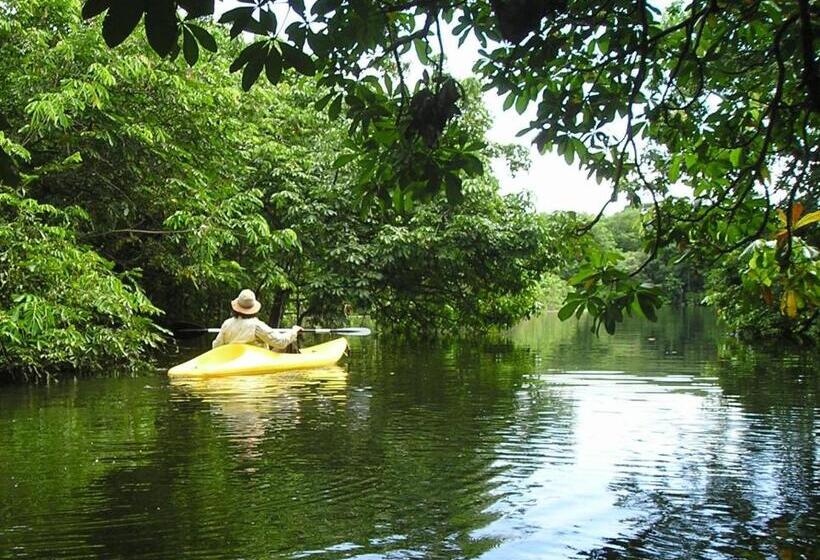 تختخواب و صبحانه Zopango Orchids Island