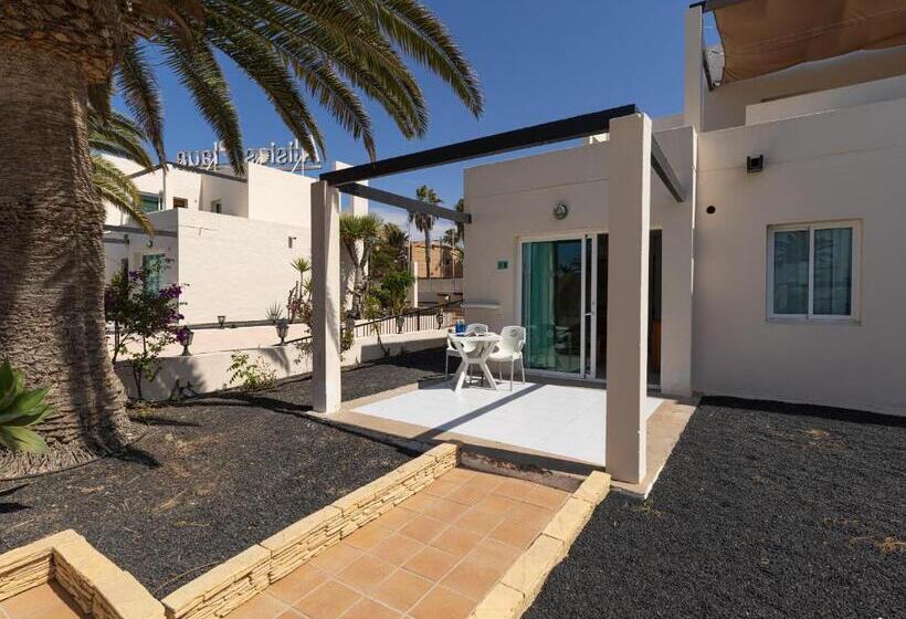 Homeforguest Apartamento 13 Con Terraza Y Piscina En Corralejo