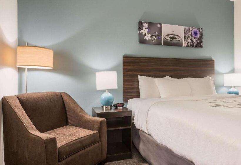 فندق Sleep Inn & Suites Webb City