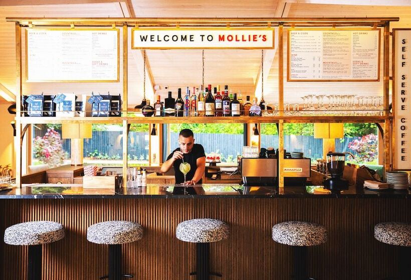 Mollie's Motel & Diner Bristol