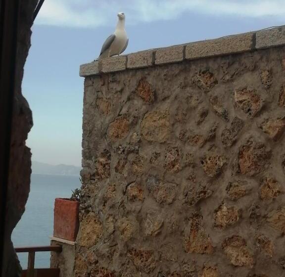 Bed and Breakfast Villa Flora Argentario