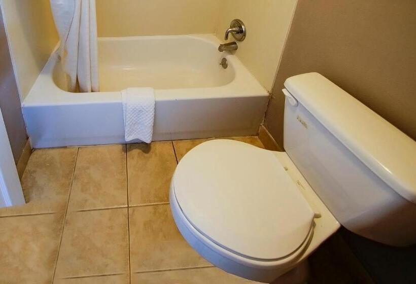 ホテル Cypress Inn & Suites