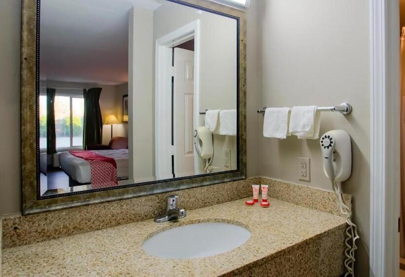 ホテル Cypress Inn & Suites