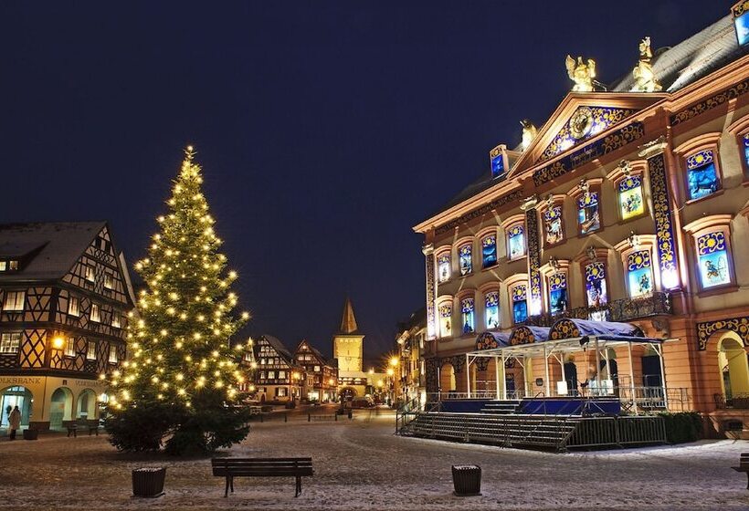 هتل Holiday Inn Express   Offenburg, An Ihg