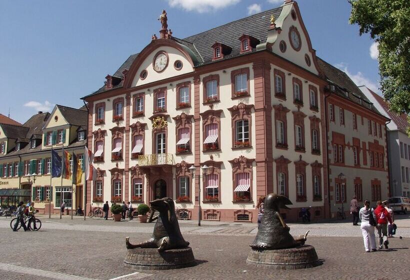 هتل Holiday Inn Express   Offenburg, An Ihg