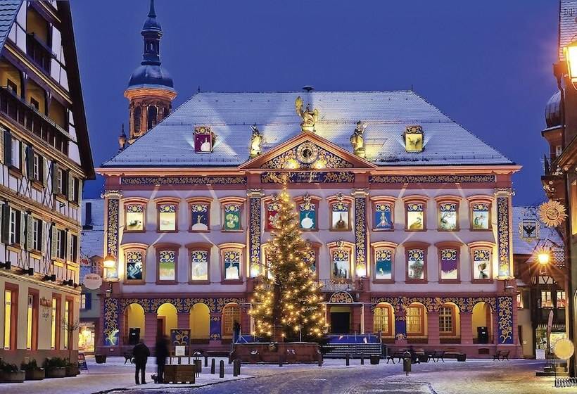 هتل Holiday Inn Express   Offenburg, An Ihg