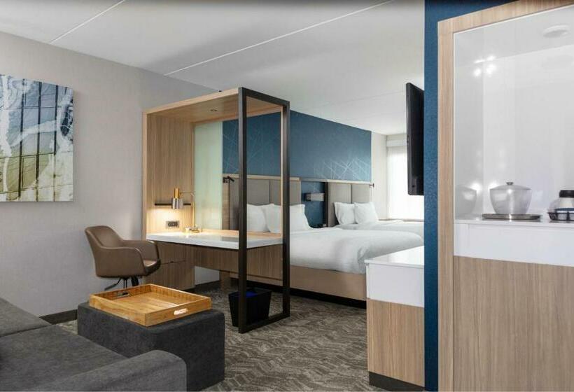 Отель Springhill Suites By Marriott Durham City View