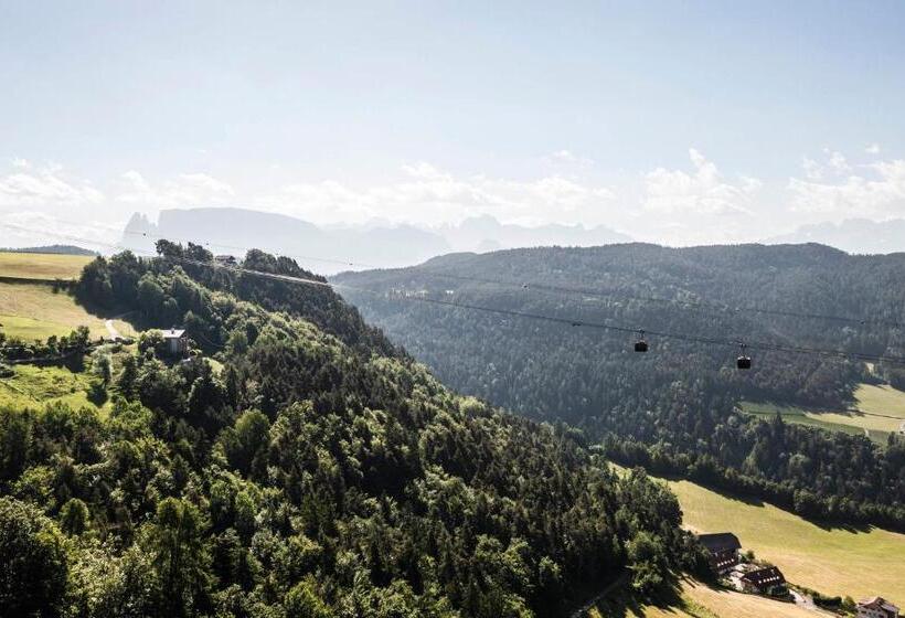 Отель Pippos Mountain Lodge