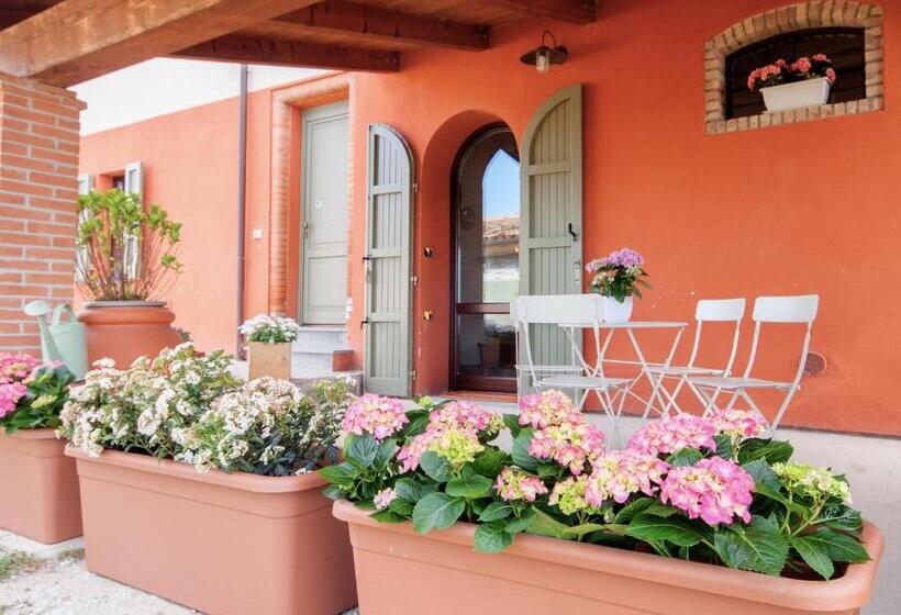 پانسیون Cà Vincenzona, Wellness Area