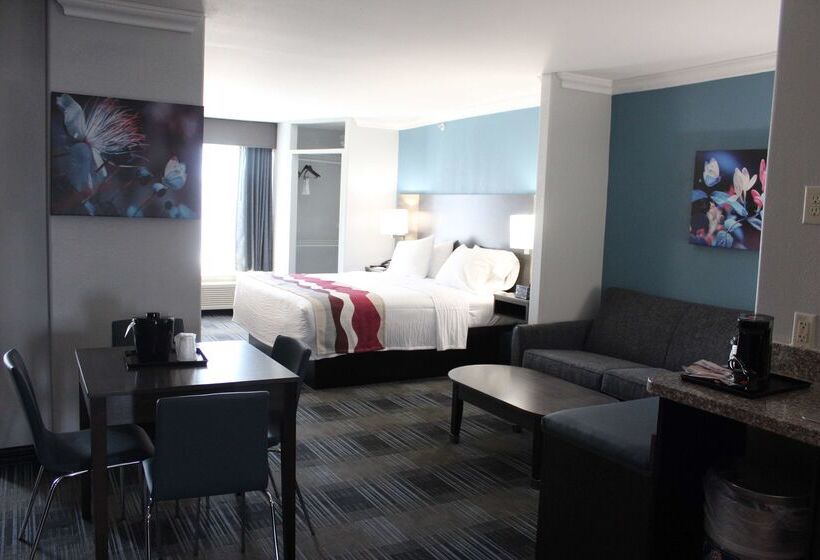 هتل Best Western Medical Center North Inn & Suites Near Six Flags