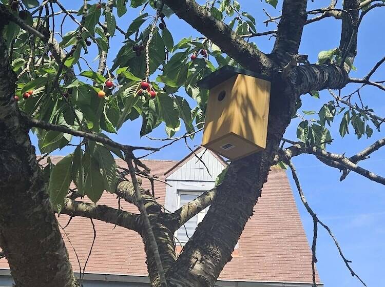 Отель Campanile Deauville  Saint Arnoult