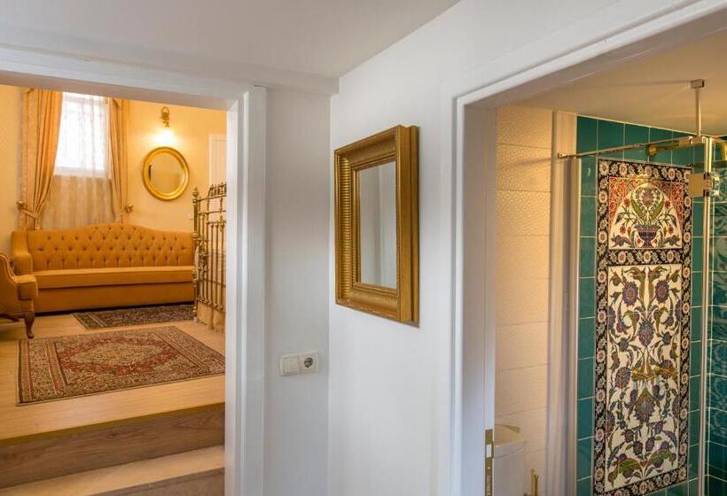 Fotos del hotel Darussaade Istanbul:  33