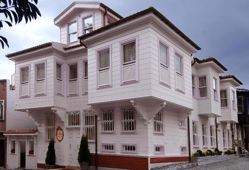 Fotos del hotel Darussaade Istanbul:  30