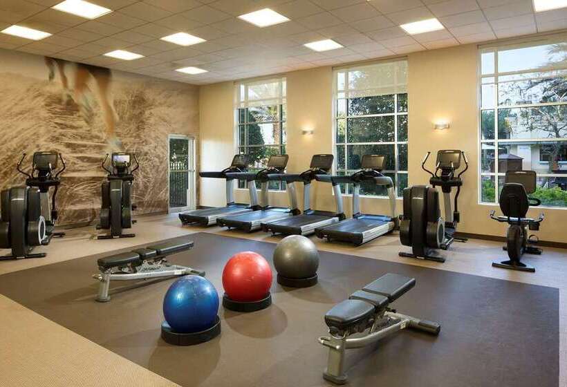 Fotos del hotel Hilton Grand Vacations Club Las Palmeras Orlando:  57 Fotos del hotel Hilton Grand Vacations Club Las Palmeras Orlando:  57